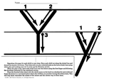 Alphabet Activities -- Letter Y