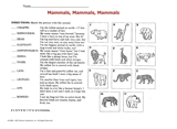 Mammals, Mammals, Mammals