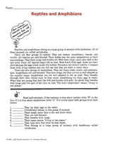 Reptiles and Amphibians