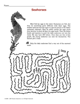 Seahorses