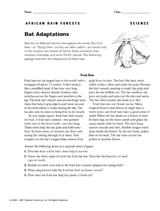 Bat Adaptations