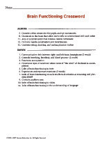 Brain Function Crossword