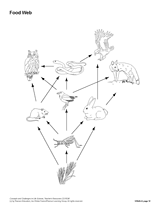 empty food web