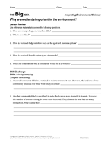 Why Are Wetlands Important to the Environment?