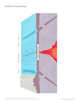 28 Sea Floor Spreading Labeled Diagram Label Seafloor