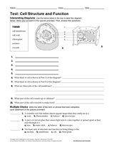 Cell Parts Functions