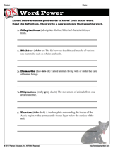 worksheet