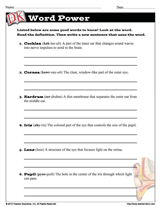 worksheet