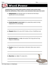 worksheet