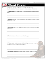 worksheet