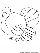 Turkey Cut and Color