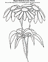 Magical Butterfly Garden: Plant 2