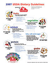 2007 Dietary Guidelines