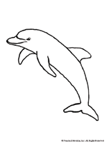 Dolphin Cut Out