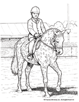 Pony of Americas Coloring Page