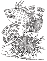 Sea Urchin Coloring Page