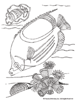 Butterfly Fish Coloring Page