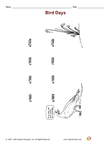 Bird Days