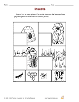 Insect Habitats