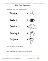 senses  free  Printable  five the  for TeacherVision  Identifying Five (K Grade) worksheets first Senses  1st  grade
