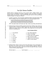 Sea Life: Bottom Dwellers