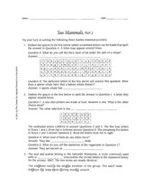 Sea Mammals, Part 2