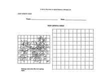 Mystery Grid Drawing Worksheets Printables Sketch Coloring Page