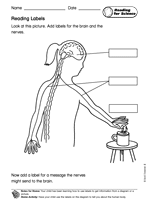 Reading for Science: Reading Labels