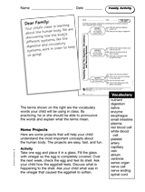 The Digestive, Circulatory, and Nervous Systems: Family Activity