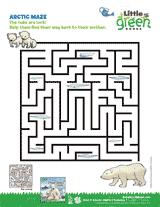 Arctic Maze