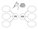 Graphic Organizer for All About Wolves