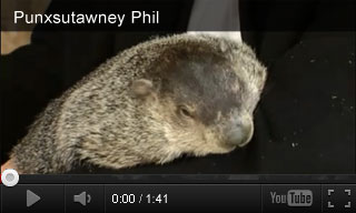 Video: Punxsutawney Phil