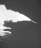 the shuttle Challenger explodes