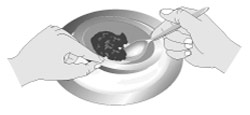 Tilt the soup plate away from you to get the last bit of soup.