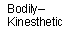Bodily - Kinesthetic