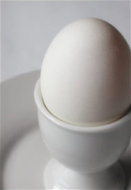 Egg