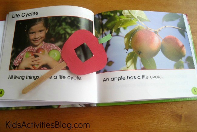 Book and Toy Magnifier