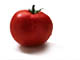 Encyclopedia: tomato