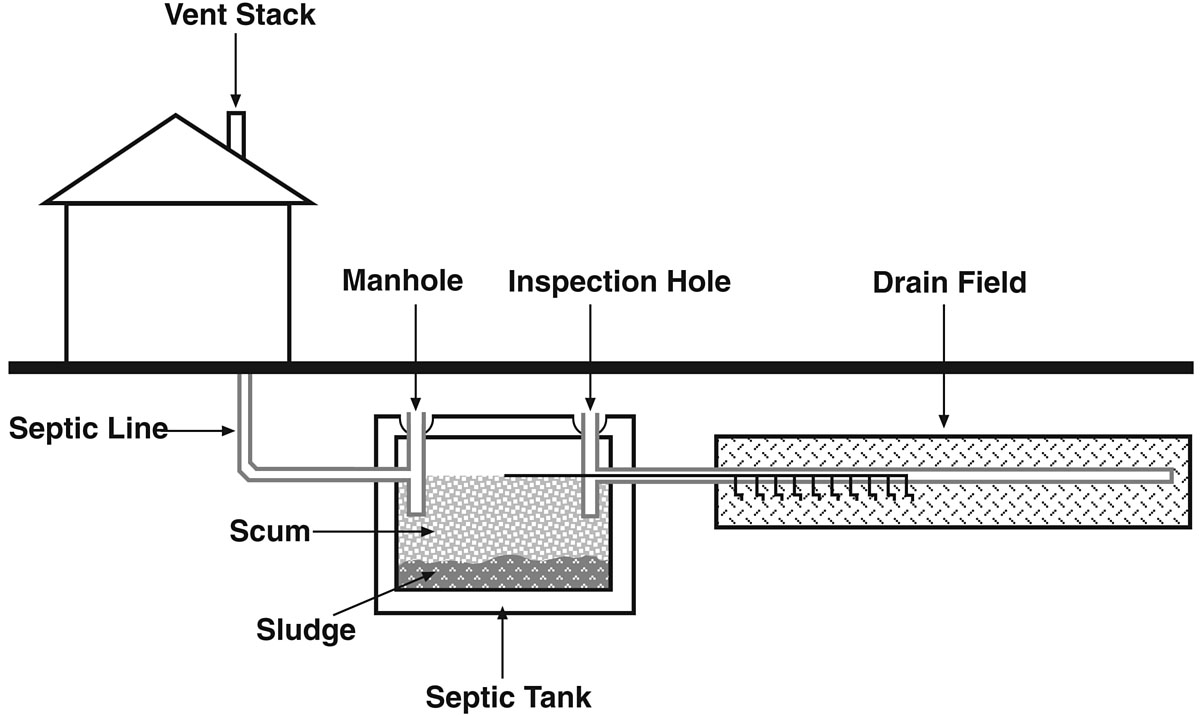 A typical septic-system lay-out, showing tank, pipes, and leach or absorption field. Some septic systems use mounds instead of fields.