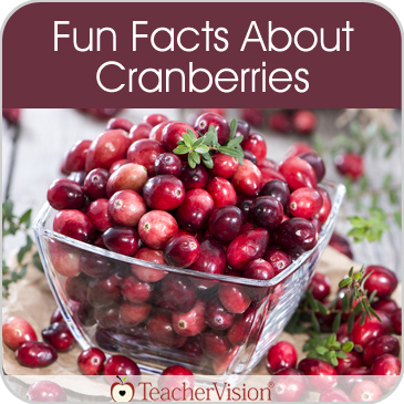 Cranberry Facts, History of the Cranberry