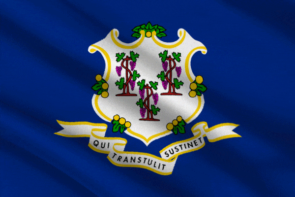 state flag of Connecticut