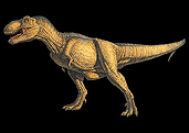 Tyrannosaurus rex