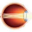 Eye Focusing Distant - Educational Clip Art Image (1-12 Grade ...