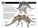 introducing dinosaurs to preschoolers