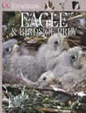 Eyewitness: Eagle & Birds of Prey