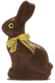 Chocolate Easter Bunny