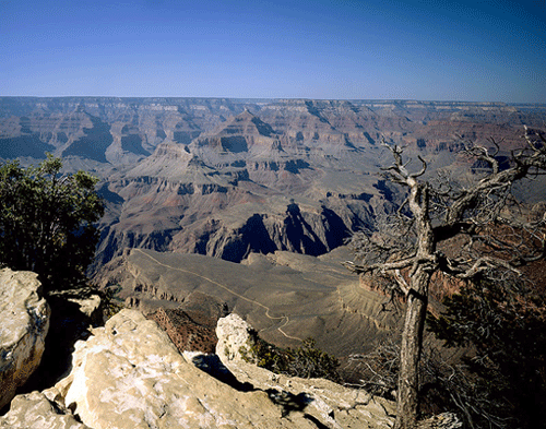 Grand Canyon Panorama