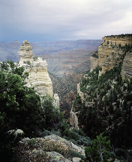 Grand Canyon Rim View