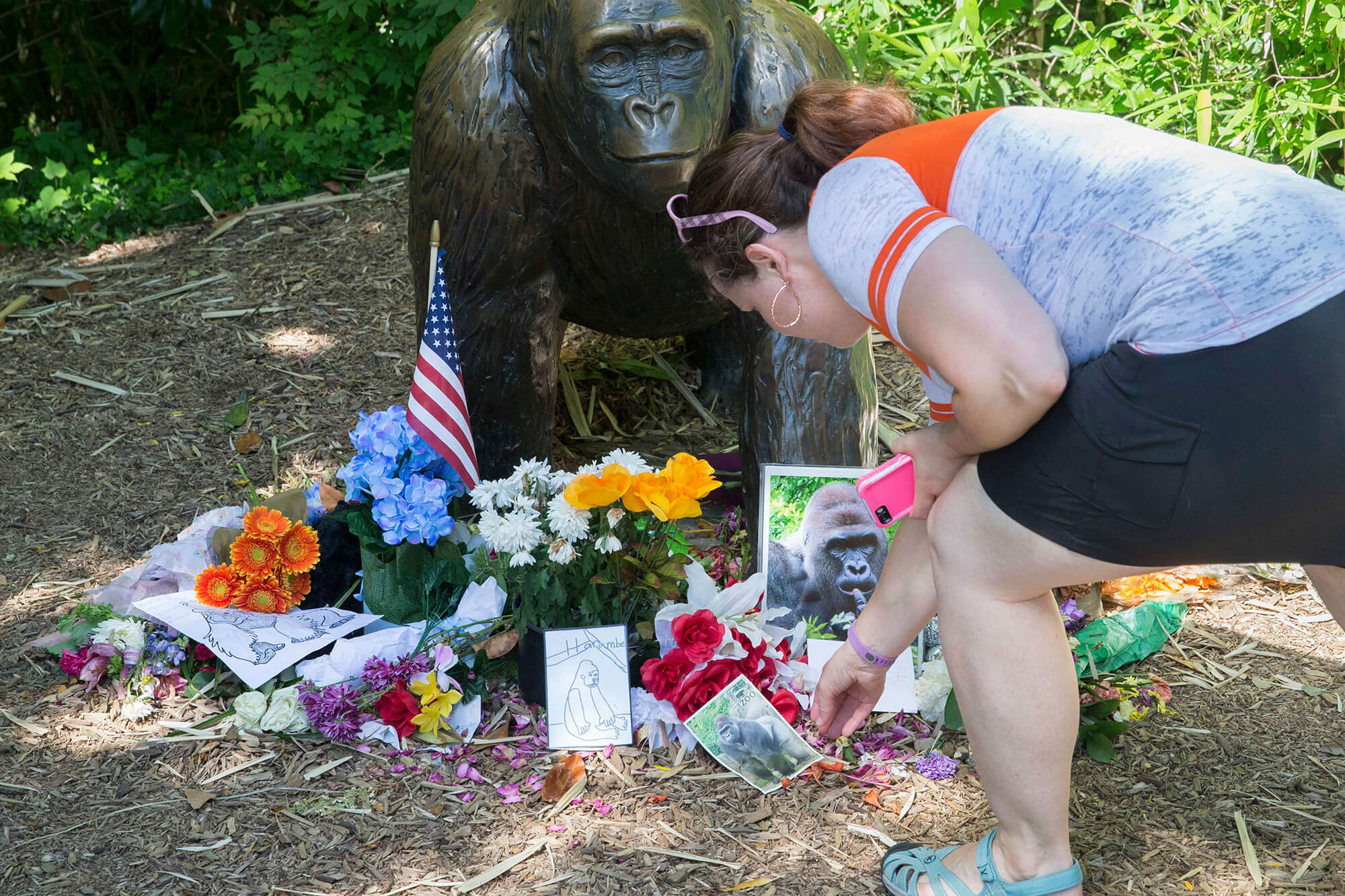 Image of memorial to Harambe the gorilla
