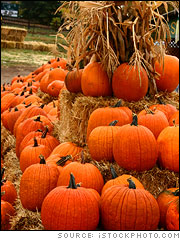 Pumpkins